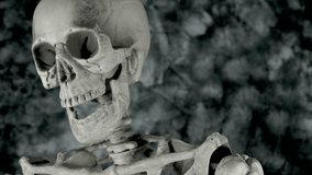 4k Science Shot of a Skeleton in Anatomy Lab waving at camera - Powered by Shutterstock - Get 15% off with code: PIKWIZARD15