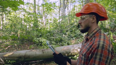 Lumberjack checks work. RAW video record.