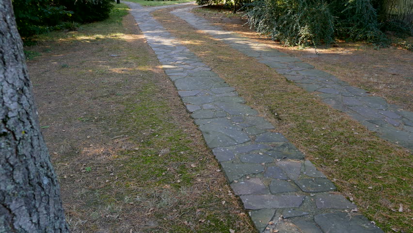 Arriving home, Establishing shot, pan up from stone driveway to residential house between fir trees
