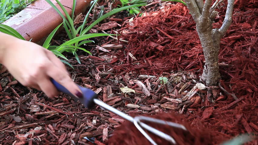 young woman spreading mulch in the garden