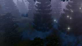 Mystical place among the trees with the shadows of the branches moving in the fog. Blue haze. Three-dimensional graphics video. 3d