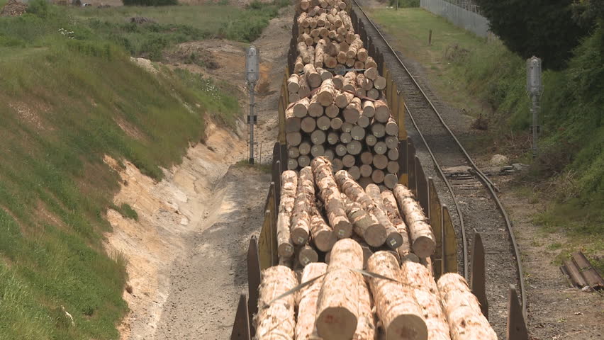 A train pulls wagons of lumber from the forest to a timber mill.