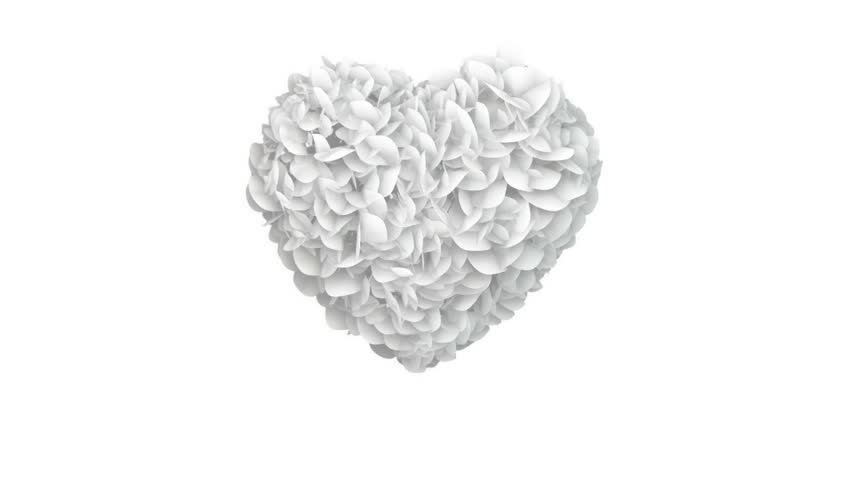 Heart of White Papers exploding