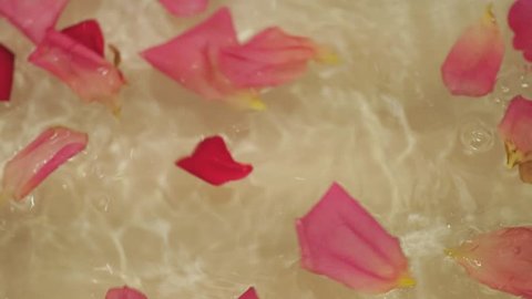rose petals in the water