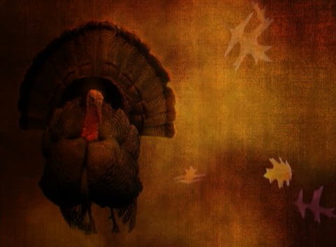 Thanksgiving turkey and falling leaves Video Stok