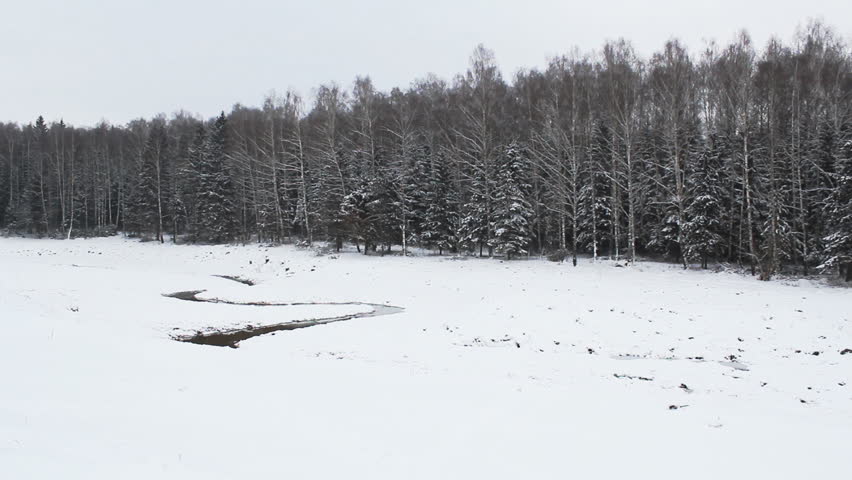 panorama of the forest with the river in winter