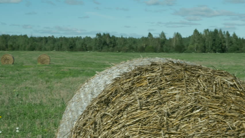 Hay bales in a meadow. Rural field in summer with bales of hay, pan.