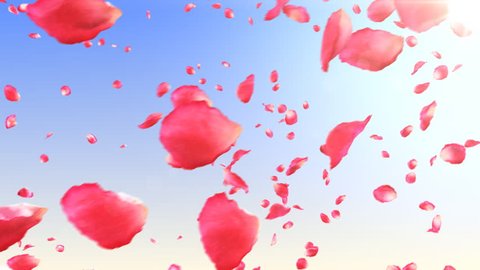 Flying rose petals in the sky with sun. HD 1080. Looped animation.