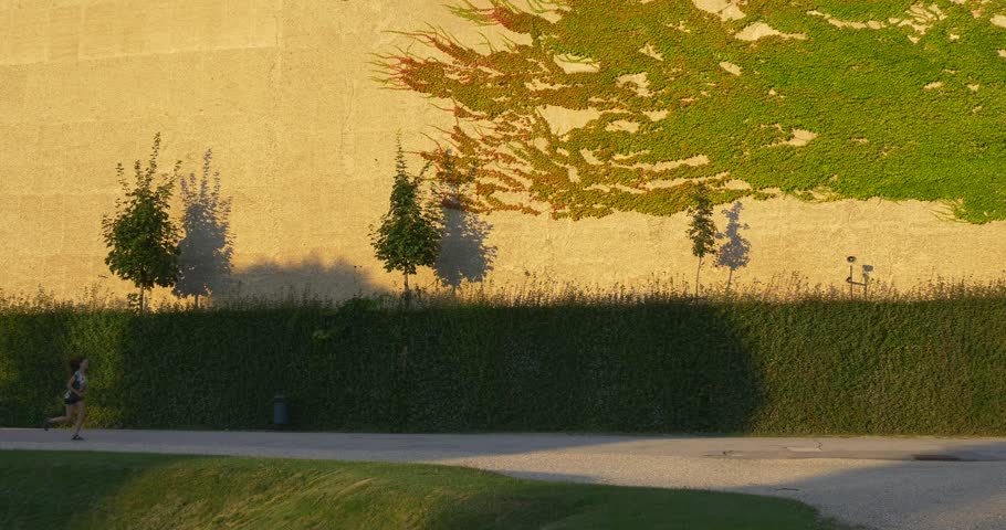 Sporty woman jogging in a big green garden with sheared bushes and ivy on wall in sunset light