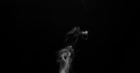 Steam from a Cup of Hot Water. White steam rises light, graceful twists on a black background. Shooting at a rate of 120fps. Footage is perfect for the top layer with different blending modes