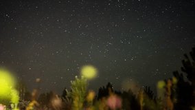 Starry night timelapse footage. Forest landscape with black sky and bright stars moving fast.
