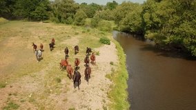 Aerial video running horses