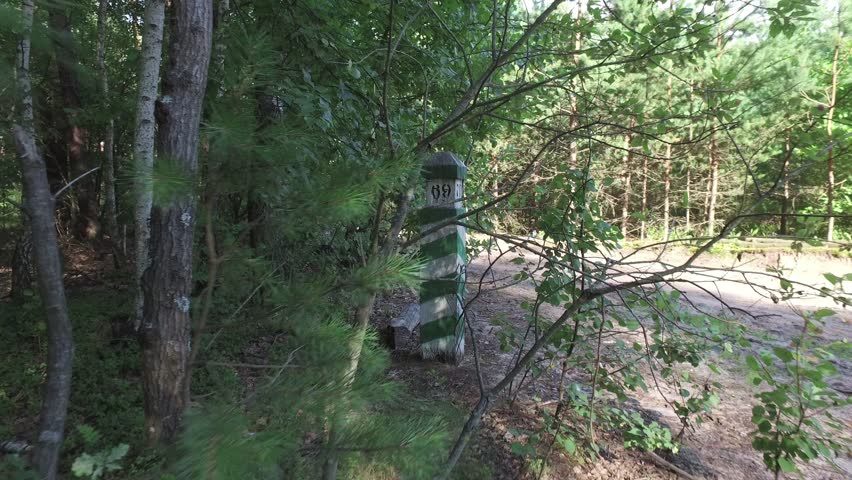 Marking border post in woods near dirt road