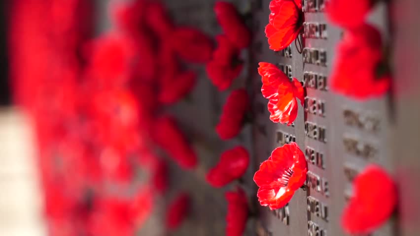 Red poppy on the war memorial wall