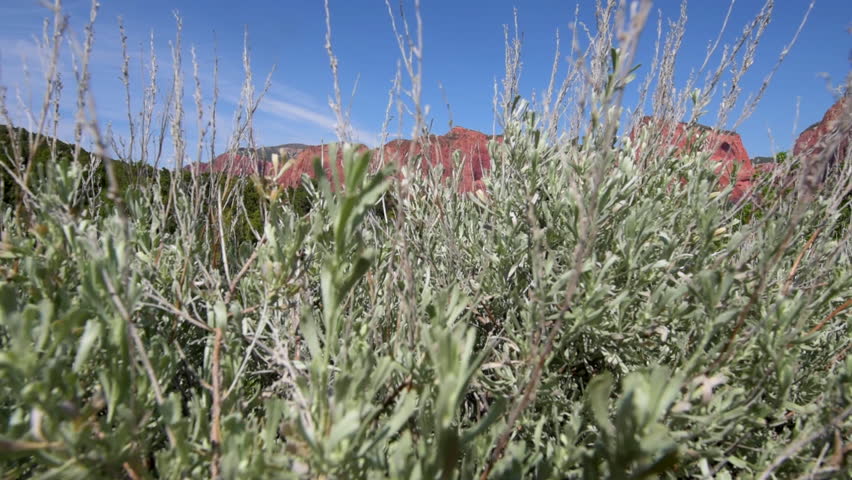 Kolob Canyons Landscape Overlook Zion National Park slow pan right