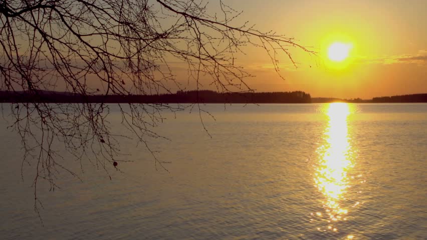Sunset on the lake. Sunset reflected in water. Silhouettes of trees