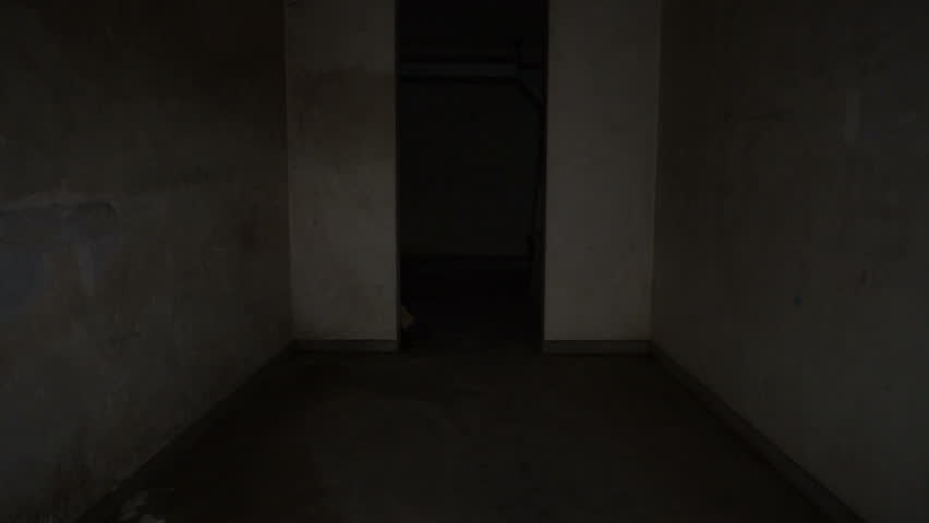 Moving Through Spooky Hallway. Passing Stock Footage Video (100% ...