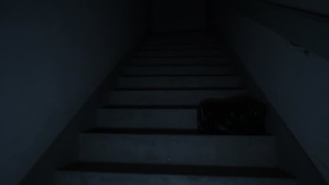 Climbing spooky stairs in darkness. Going up dark and dangerous stairs in creepy stairwell alone. Smooth movement floating up fire stairs with no light.