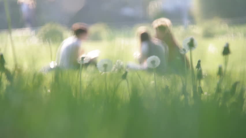 Group of people on meadow among dandelions