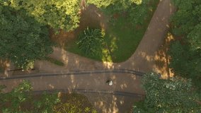 Aerial Video Newlyweds are Circling in the Dance Through the Trees 4k