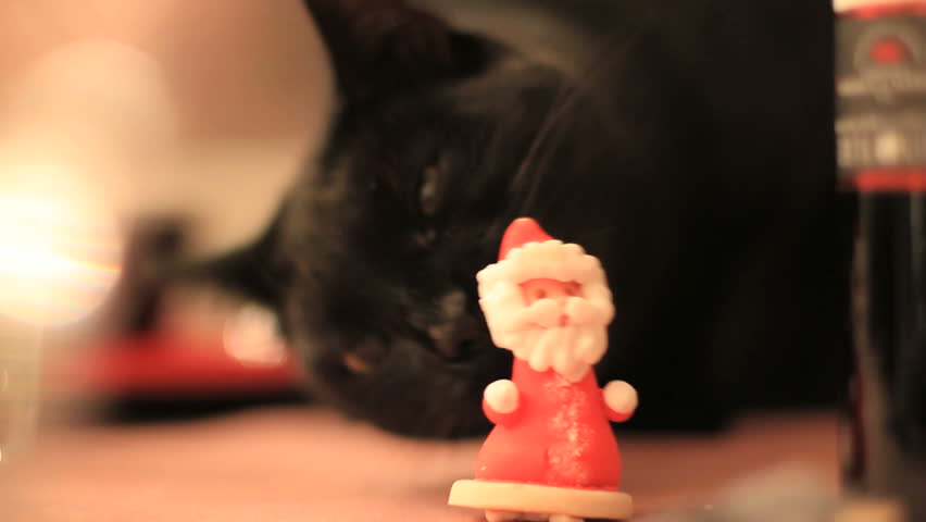 Black cat licks Santa Claus