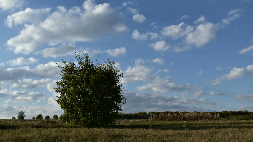 Timelapse. Clouds over field.