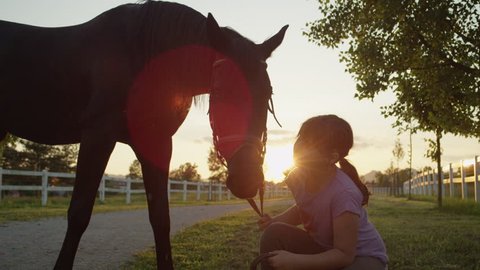 SLOW MOTION, CLOSE UP: Cheerful cute child kissing and caressing big powerful dark bay gelding at magical sunset. Happy kid squatting on meadow, cuddling strong stallion on countryside horse ranch