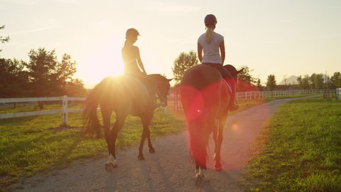 SLOW MOTION, CLOSE UP: Two young girls horseback riding amazing strong brown stallions walking into magical golden sunset on beautiful horse ranch farm. Girlfriends on relaxing morning ride at sunrise
