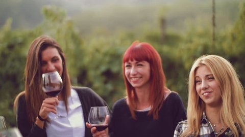 Group of friends toasting with red wine in the vineyard
