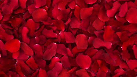 Romantic Rose Petals Wipe with Luma Matte