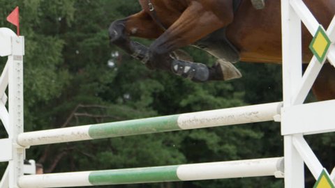 SLOW MOTION, CLOSE UP: Brown horse jumping over vertical fence and performing in competitive jumping event in outdoors sandy parkour riding arena. Unrecognizable person riding powerful gelding