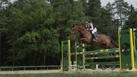 SLOW MOTION, CLOSE UP: Beautiful chestnut horse jumping over fence and performing in competitive event in outdoors sandy parkour riding arena. Powerful gelding competing in horseback riding in manege