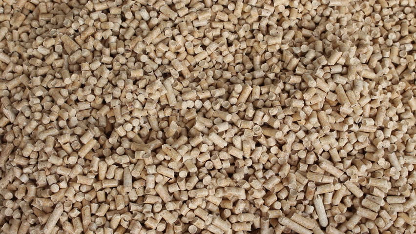 Biofuel, biofuels, Eco fuels, alternative biofuels made from sawdust . Male gains in the hands of wood pellets . Wood pellets used as cat litter. Royalty-Free Stock Footage #19800277