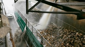 Rinsing and washing sugar beet in a factory, Washing and Preparation Sugar Beet  for the Final Product, 4 K Video Clip