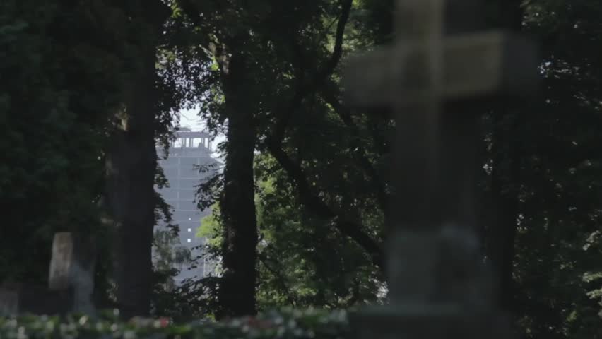 the construction of a skyscraper through the trees in the cemetery
