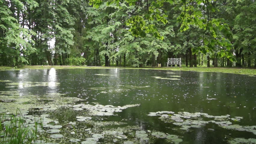 Pond in the park with trees and benches on a rainy day