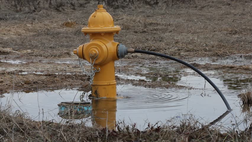 Fire Hydrant With Small Hose Attached In Rural Setting Surrounded By Water | Shutterstock HD Video #1982014