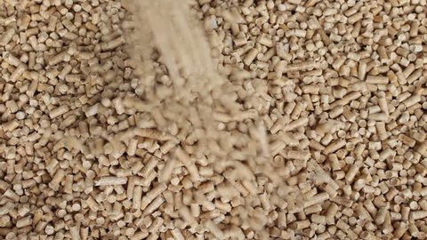 Biofuels , an alternative biofuels from wood chips . Wood pellets piled on top. Wood pellets used as cat litter.