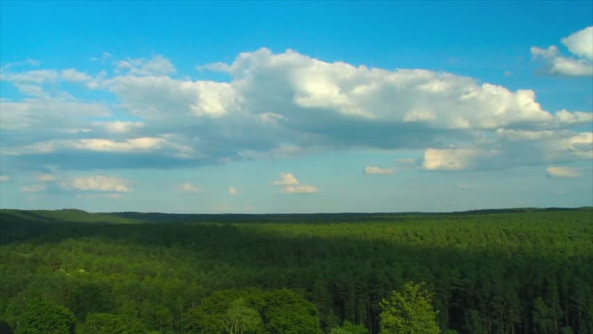 clouds over the forest, timelapse