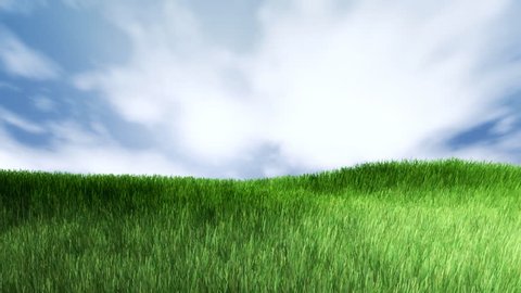 Green grass background. Grass is moving with a wind. Loopable video. 