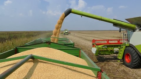 Combine harvester transferring freshly harvested soybean to tractor-trailer for transport, slow motion