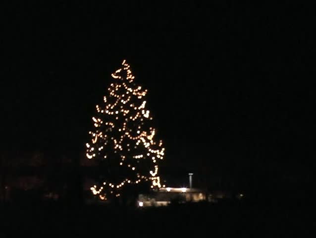 Christmas Tree Glistening