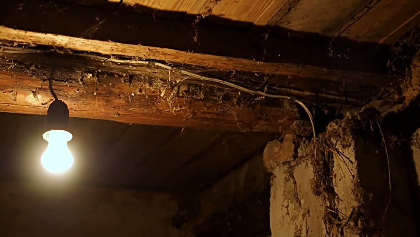 светильник в подвальное помещение. светильник для подвала. светильник в погреб гаража. точечные светильники в гараже. светильник в погреб гаража.