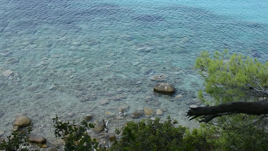Sea Landscape Background. Sea View in the Sunny Day. Sea Water Surface With Ripple and Waves. Peaceful Seascape.