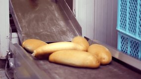 Freshly Baked Bread Coming Out from the Oven,video clip