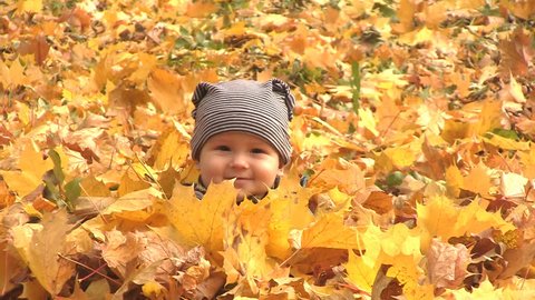 Стоковое видео: 6 months boy sits surrounded by autumn leaves and one leaf falls on him