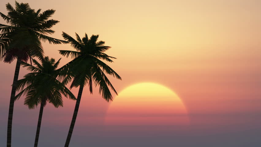 Palm Trees On A Background Stock Footage Video 100 Royalty Free 19867177 Shutterstock