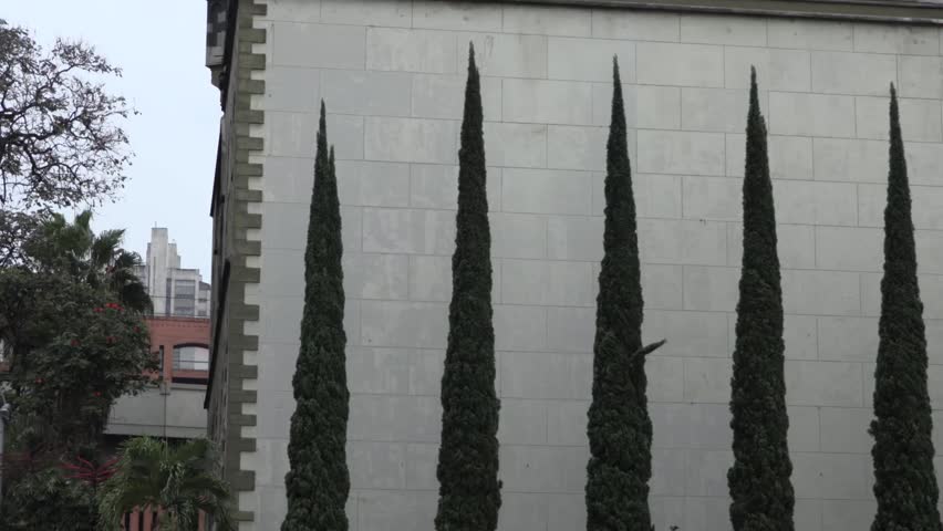 Upward tile of the Cathedral Metropolitana in Plaza Botero, Medellin