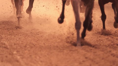Horse racing. Legs of horses close-up. A lot of dirt under his hooves. Slow motion