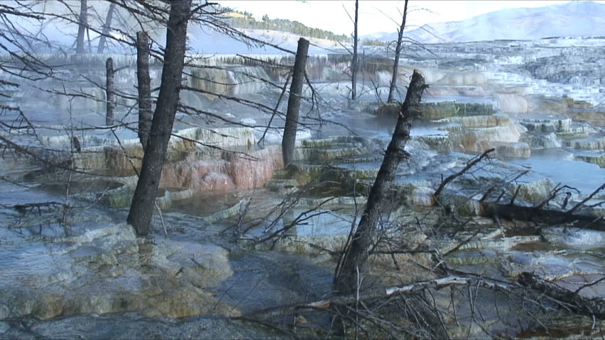 Colorful terraces at Mammoth Hot Springs look like a cave turned inside out.